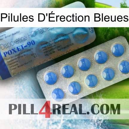 Blue Erection Pills 40